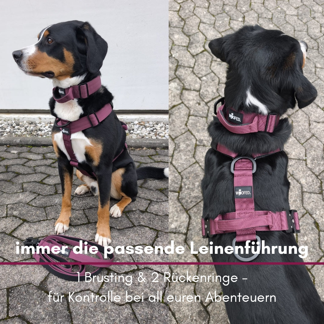 Y-Hundegeschirr 4fach-verstellbar mit Griff und Sicherheitsschnallen Bordeaux - ultraleicht