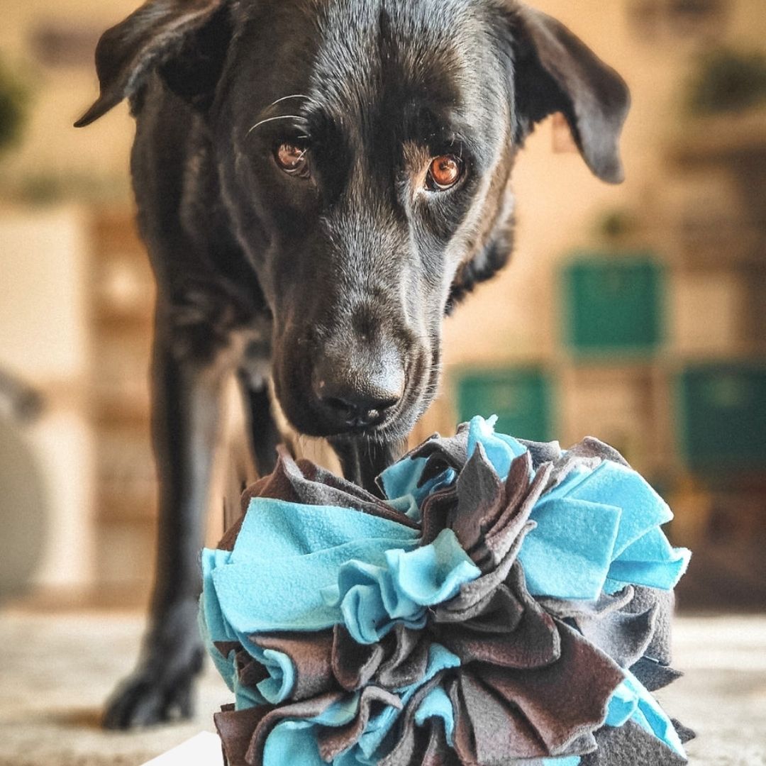 Hundespielzeug Schnüffelball