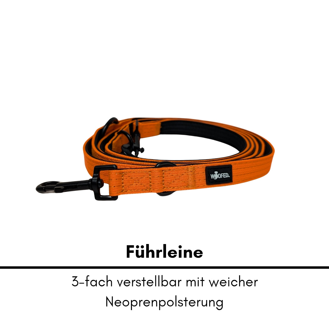 Nylon Classic Führleine Safety Orange