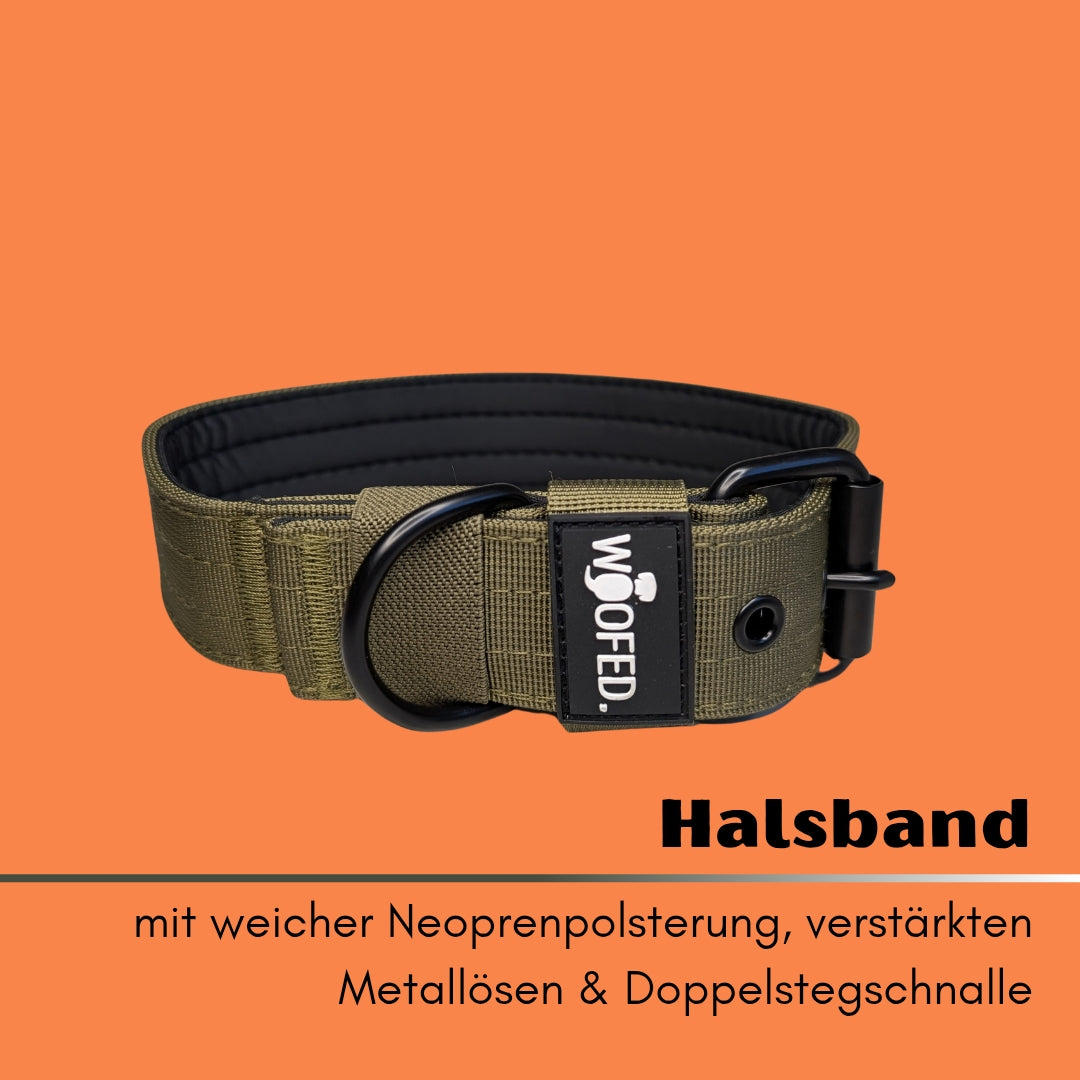Nylon Classic Halsband Military Olive