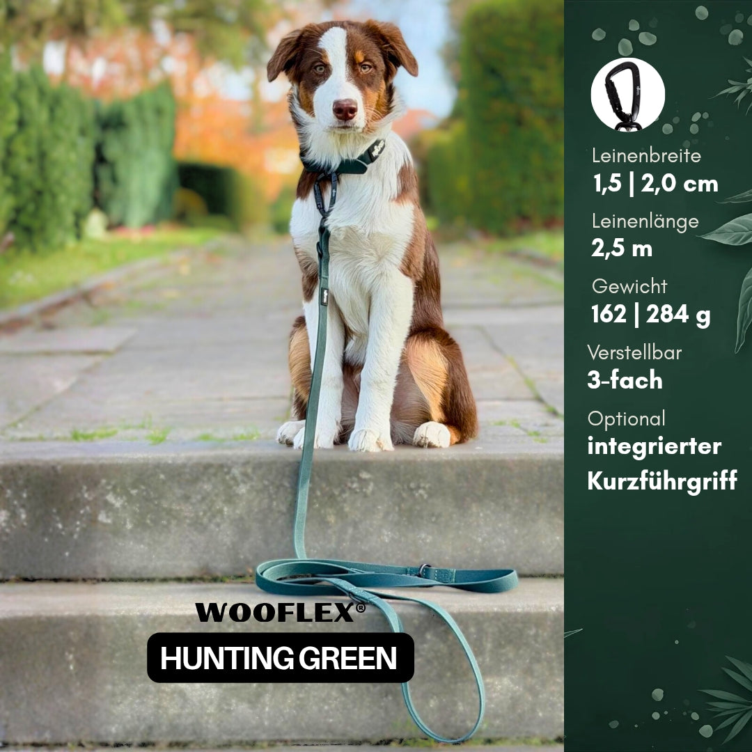 Frontalansicht: braun-weißer Hund sitzt auf Treppe, dunkelgrüne verstellbare WOOFLEX Hunting Green Führleine liegt auf Stufe