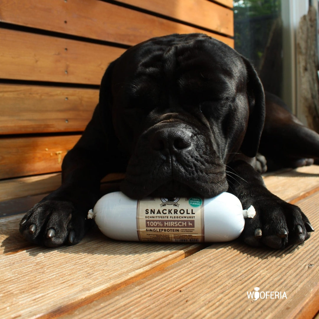 Hundewurst Hirsch