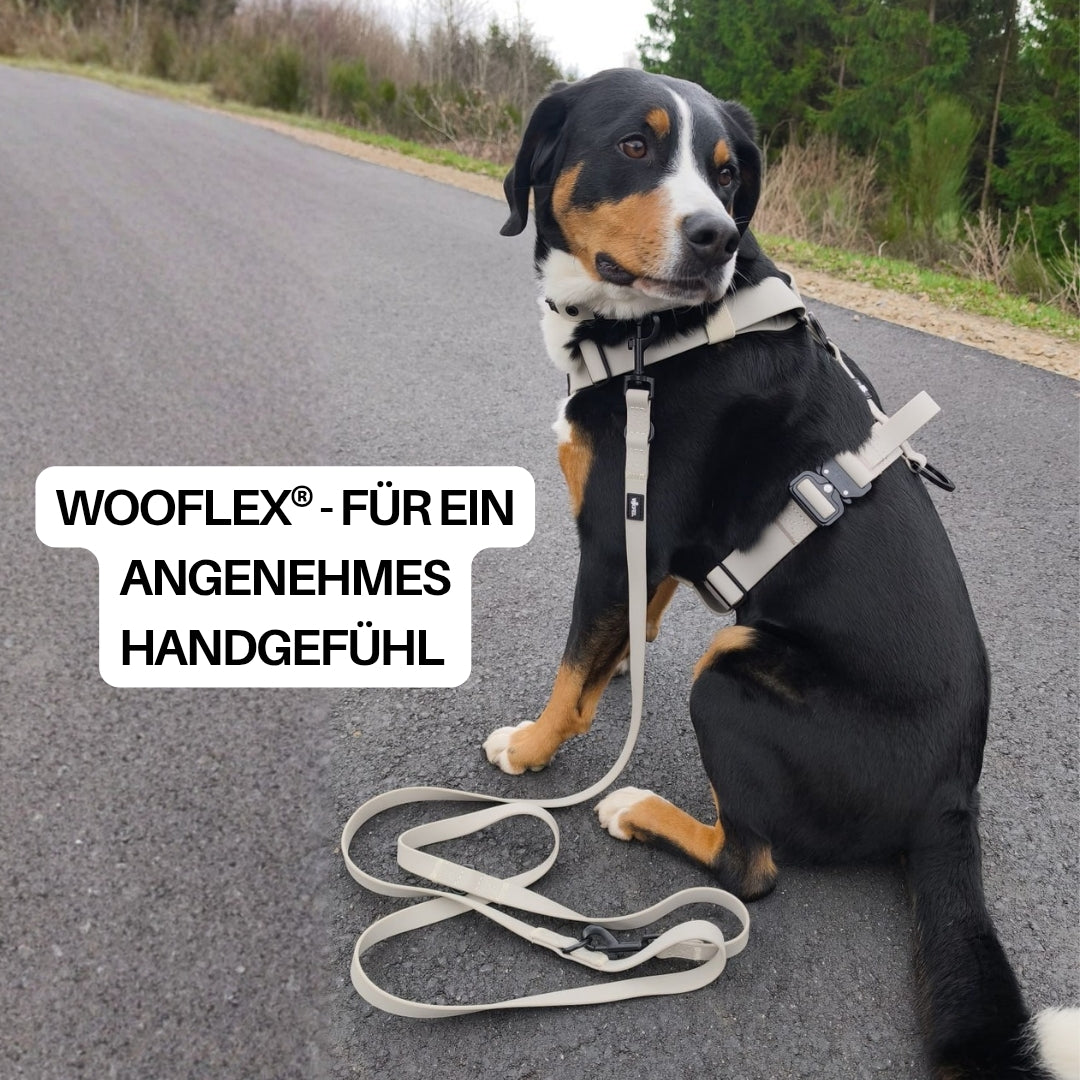 Seitliche Ansicht: Hund sitzt auf Straße, sandfarbene verstellbare WOOFLEX-Führleine am Geschirr, Leine auf dem Asphalt
