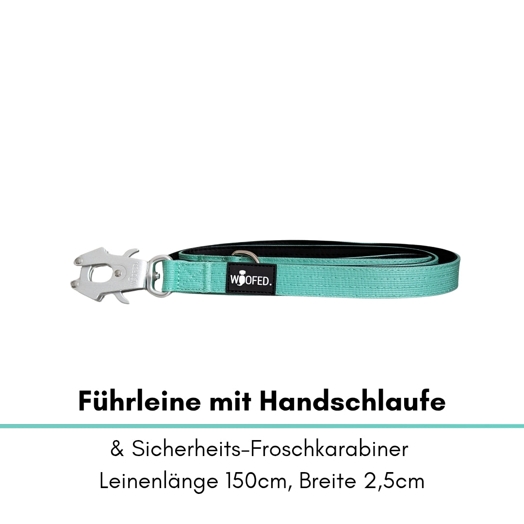 taktische Nylon Führleine Seafoam