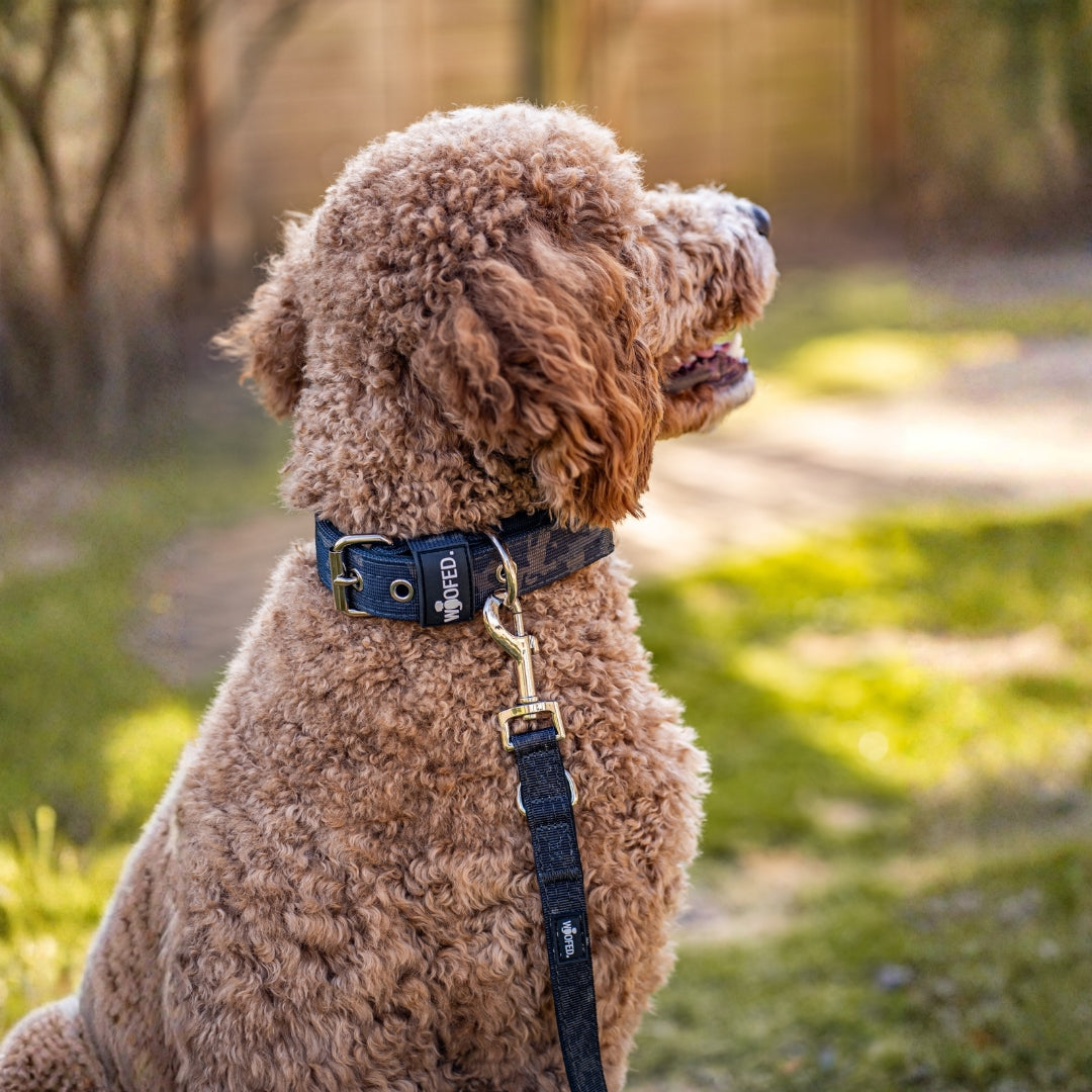 Nylon Classic Führleine Black Camo