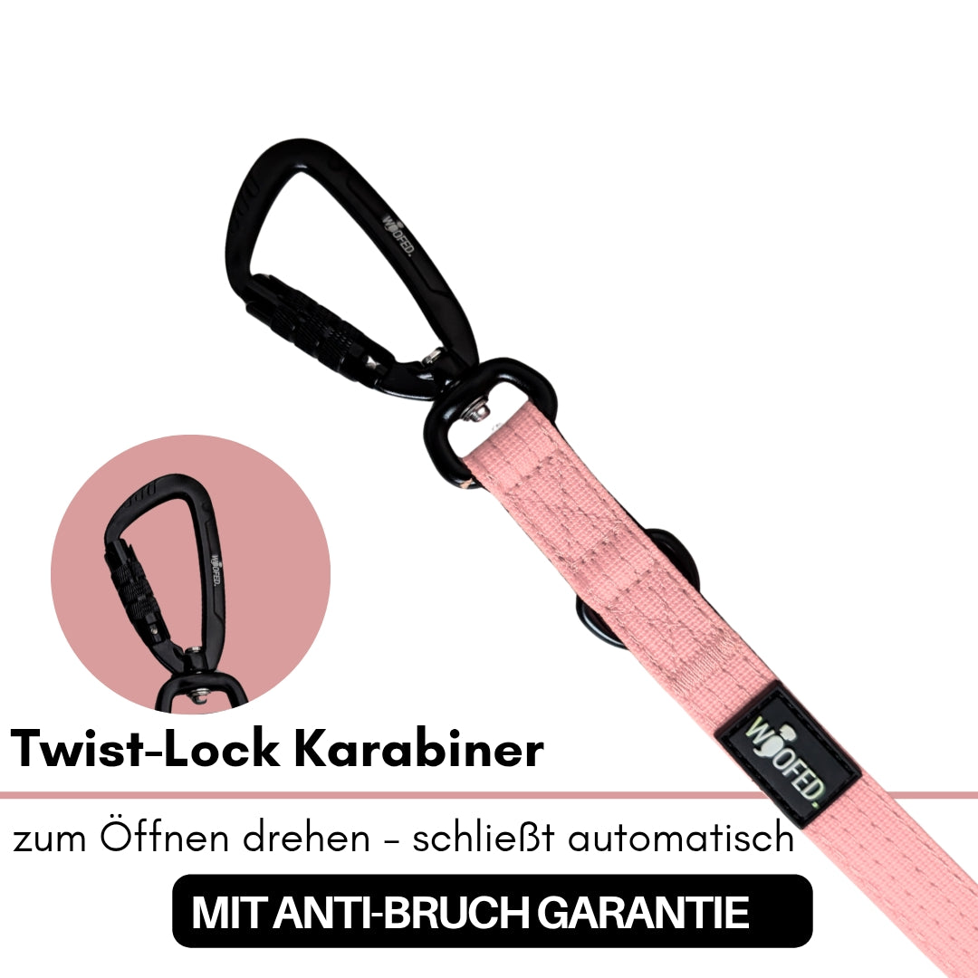 Nylon Pro Führleine Dusty Rose