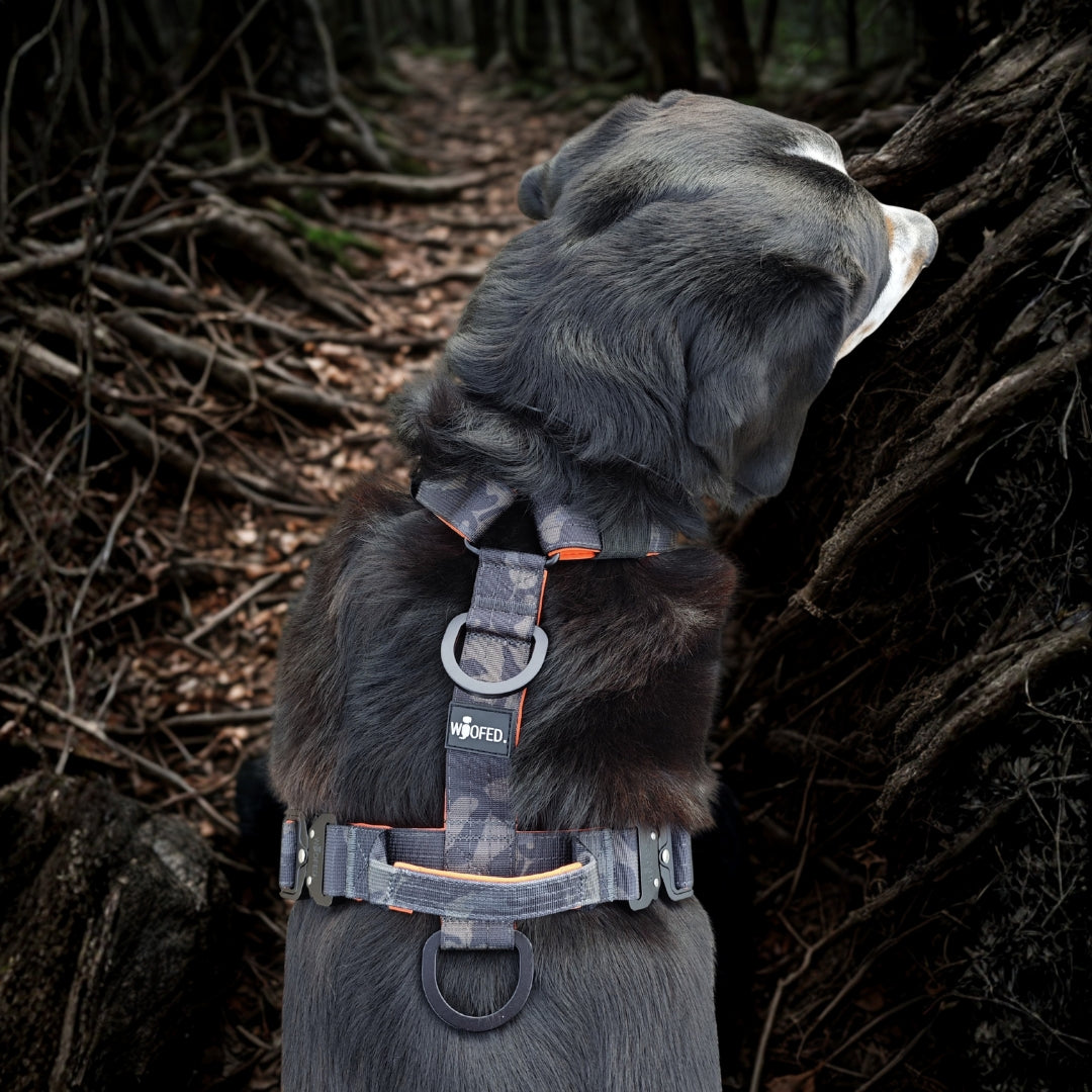 Y-Hundegeschirr 4fach-verstellbar mit Griff und Sicherheitsschnallen Signal Camo - ultraleicht