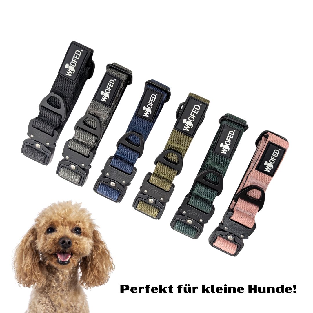 taktisches Nylon Halsband für kleine Hunde Deep Black