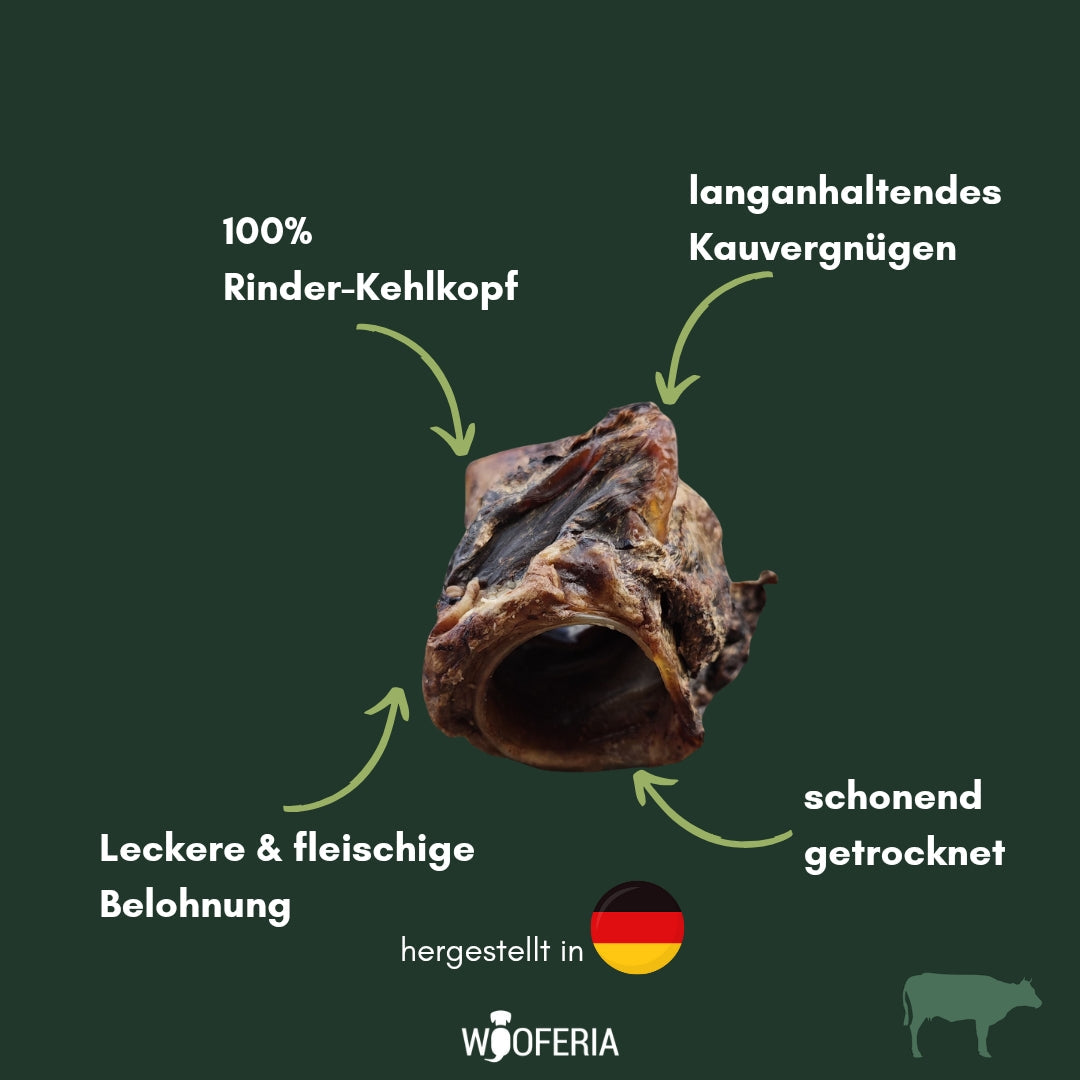 Rinderkehlkopf, getrockneter brauner röhrenförmiger Knorpel mit Fleischanteil, Frontalansicht auf grünem Hintergrund