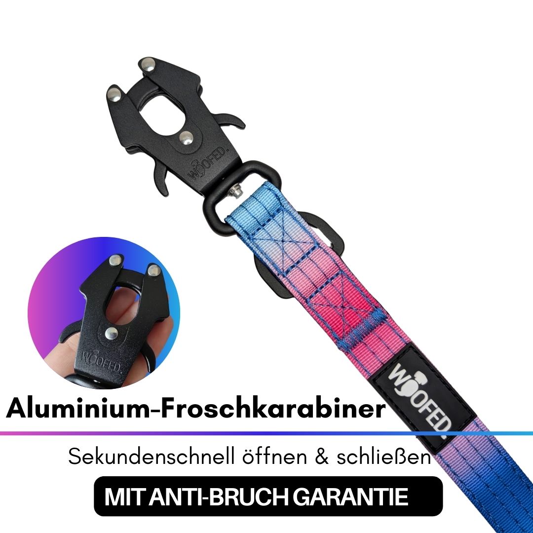 Nylon Halsband-Leine-Set Pink Blue Sky ultraleicht