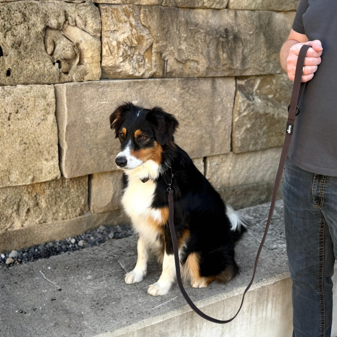 Führleine WOOFLEX® Pro Handschlaufe Espresso