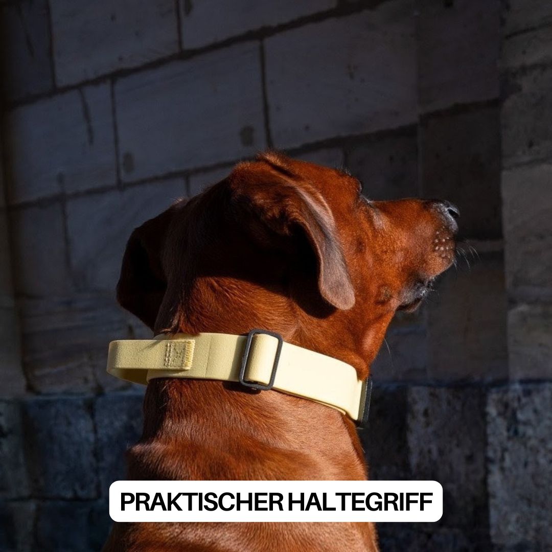 Halsband WOOFLEX® Tactical verstellbar mit Griff Lemon Grass