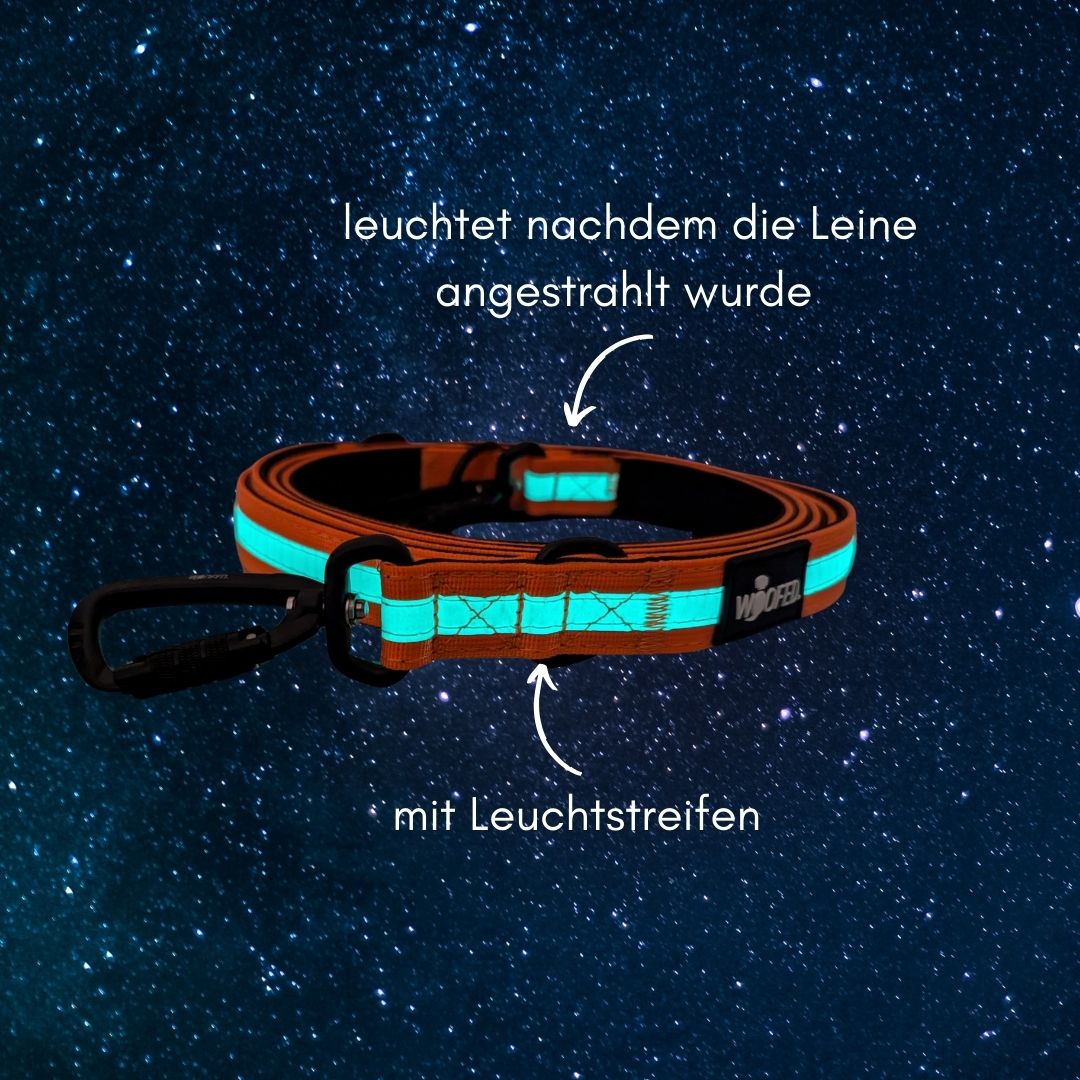 Nylon Führleine Safety Lock Orange Glow