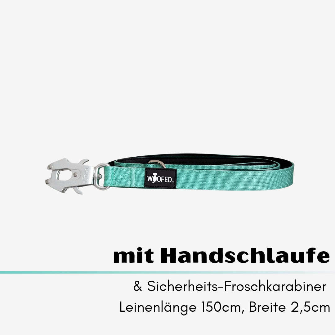 taktische Nylon Führleine Seafoam