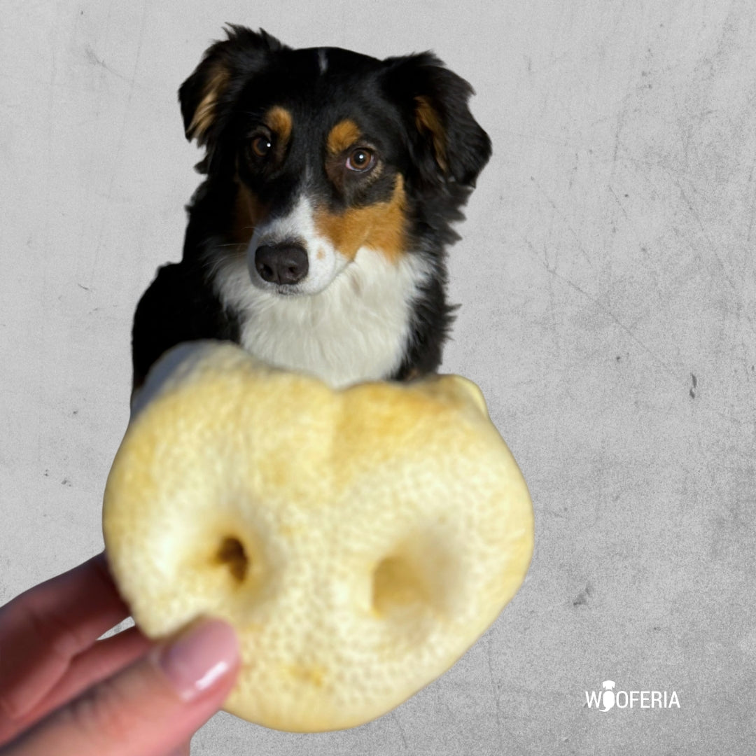 Schweinenasen XL gepufft (Honignasen)