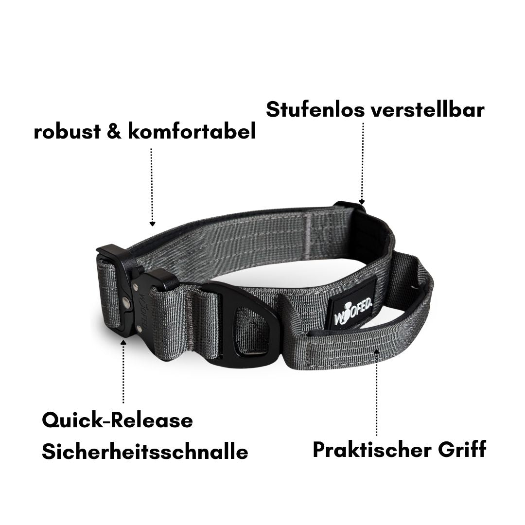 Nylon Halsband-Leine-Set Anthracite ultraleicht