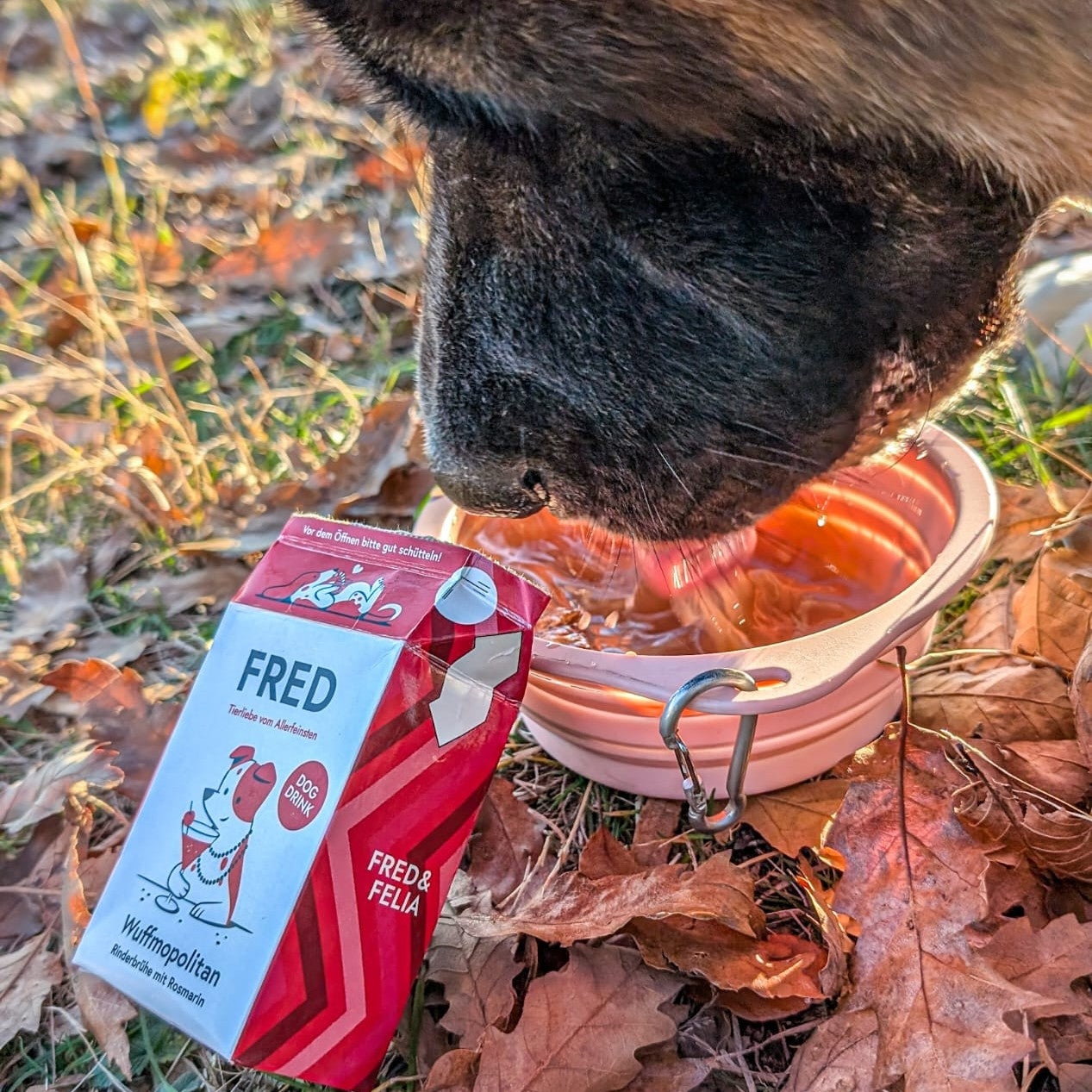 Dog Drink Wuffmopolitan Rind