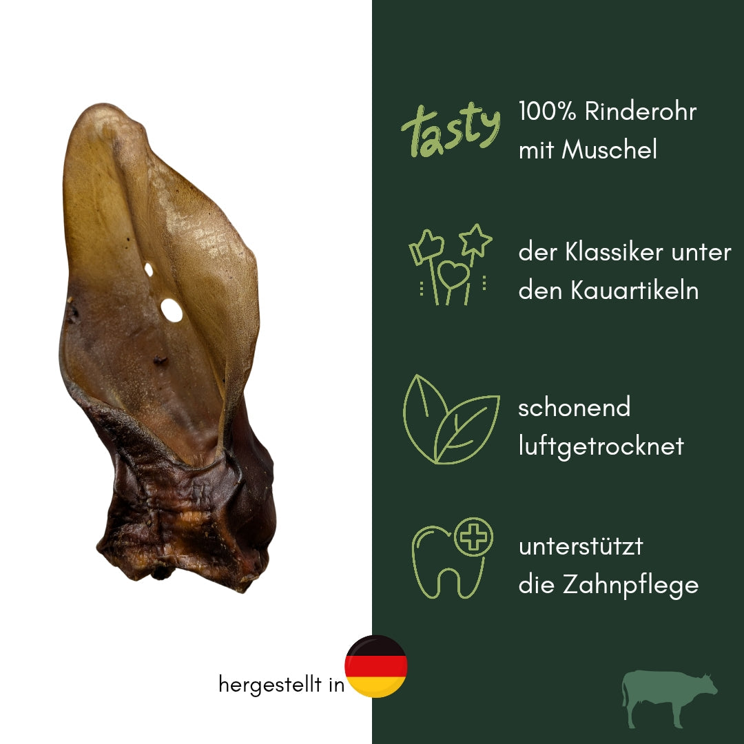 Braunes Rinderohr mit Muschel, seitliche Nahaufnahme auf weißem Hintergrund neben grüner Infotafel