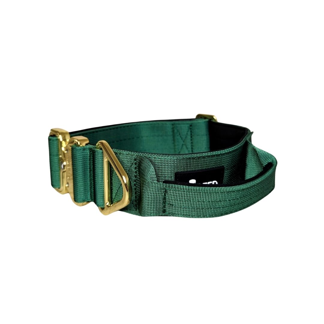 taktisches Nylon Halsband Emerald Green