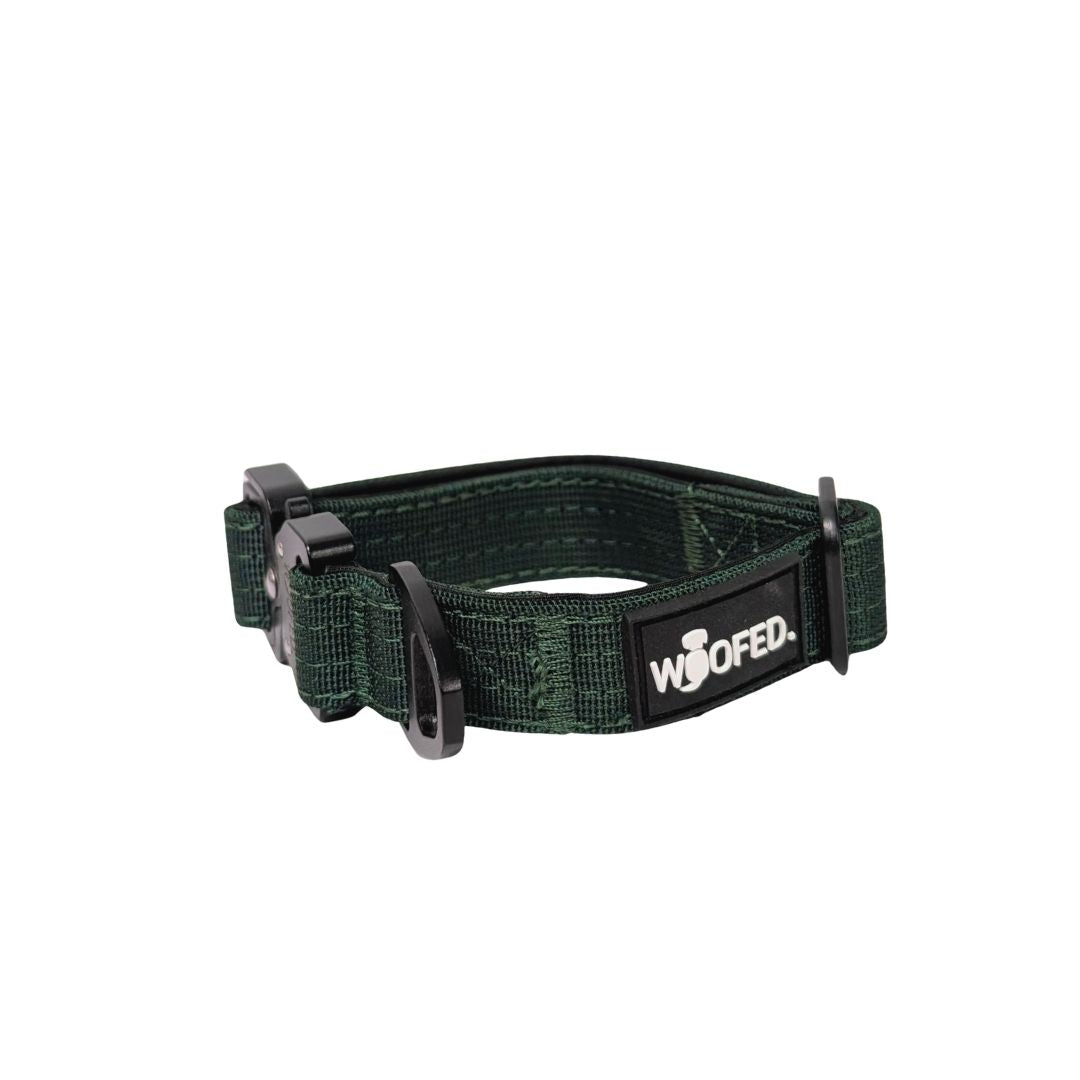 taktisches Nylon Halsband für kleine Hunde Dark Green