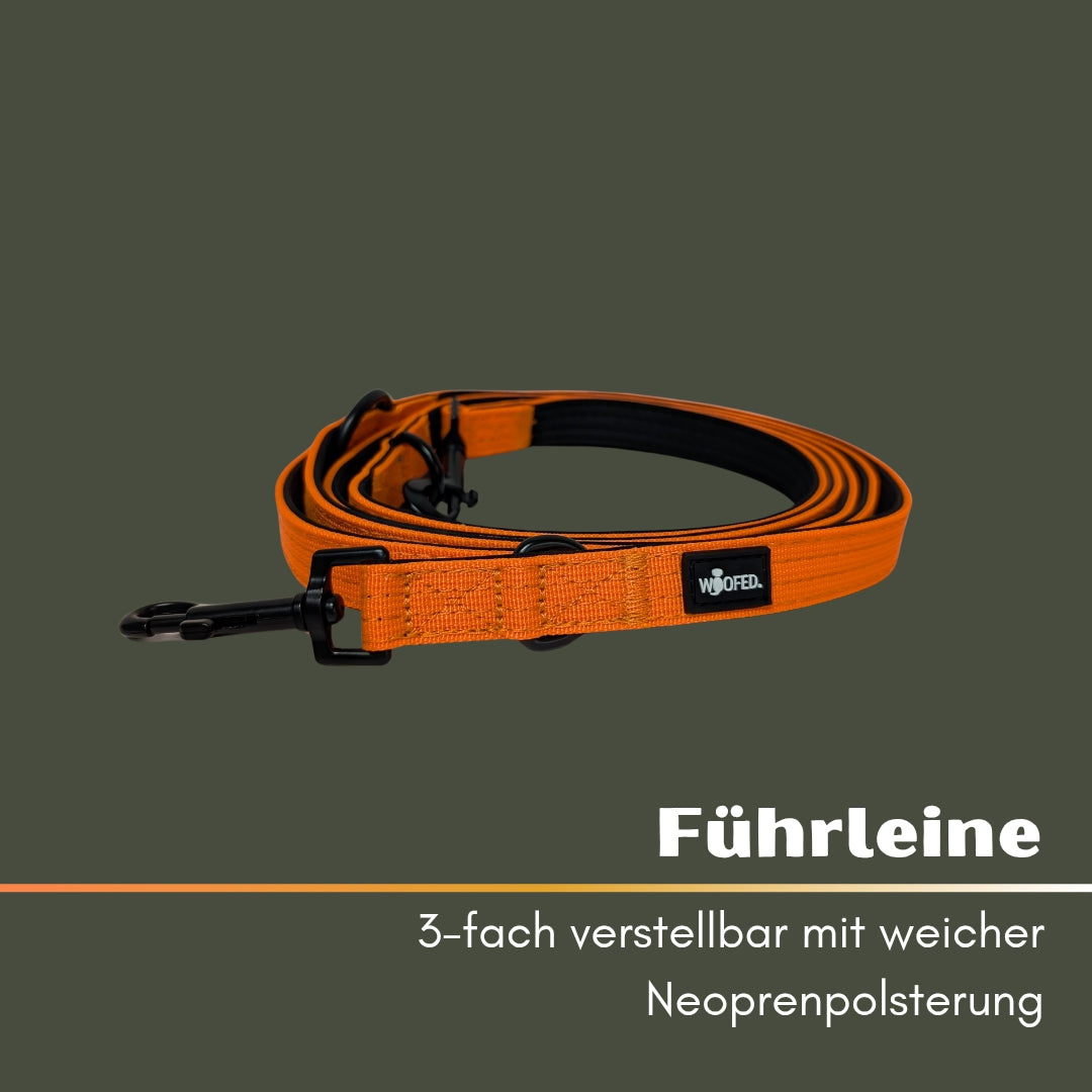 Nylon Classic Führleine Safety Orange