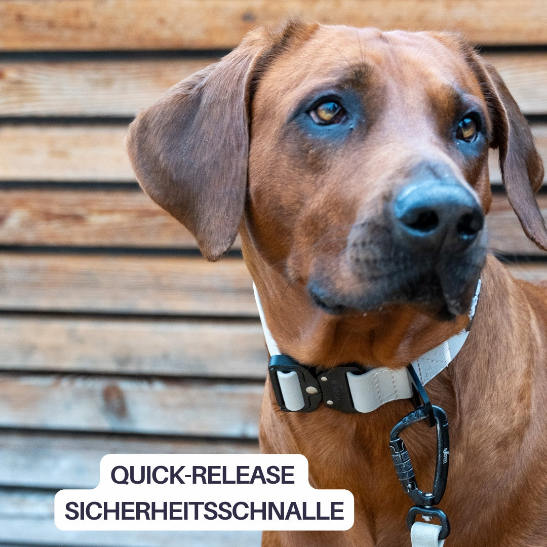 Halsband WOOFLEX® Tactical verstellbar ohne Griff Desert Sand