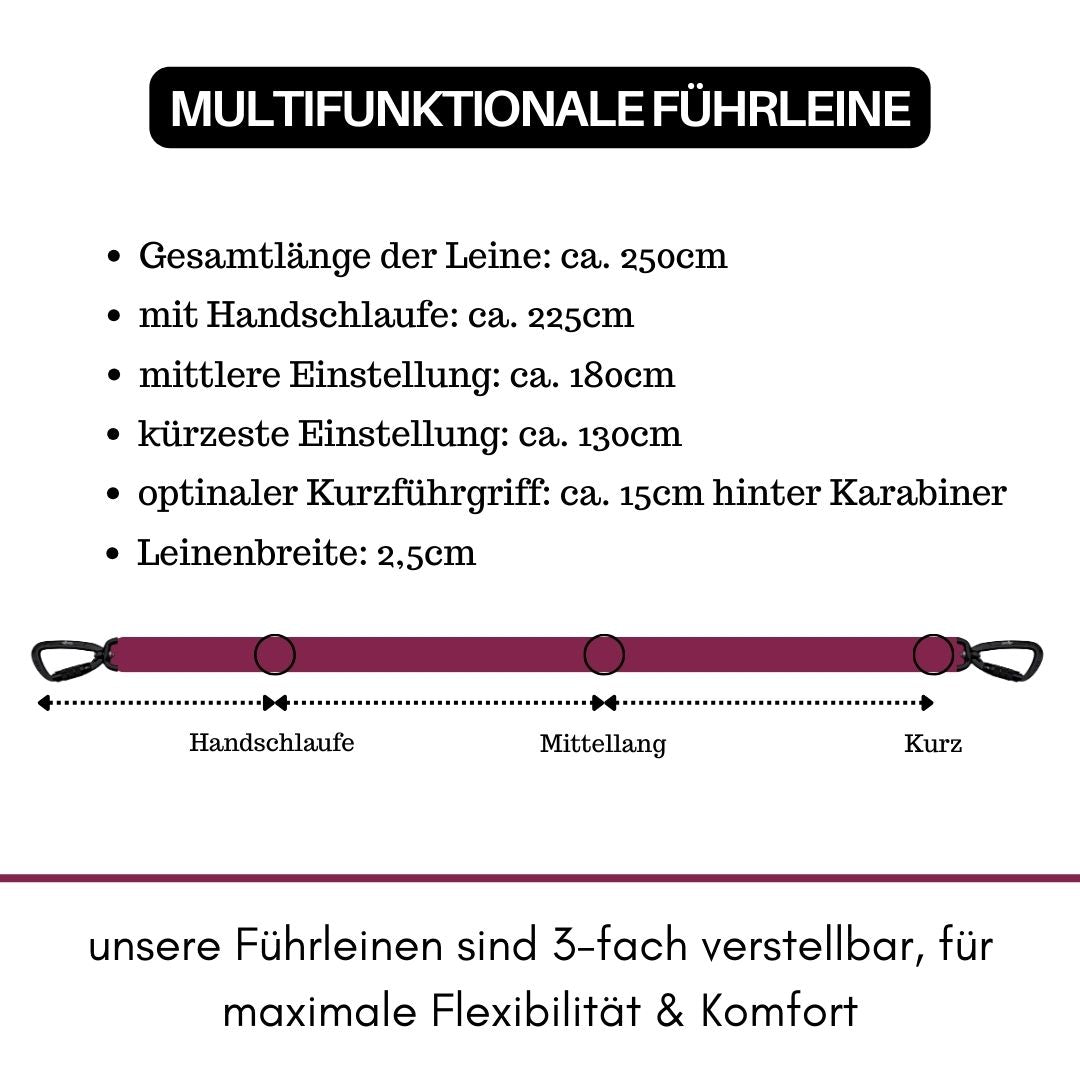 Nylon Pro Führleine Bordeaux