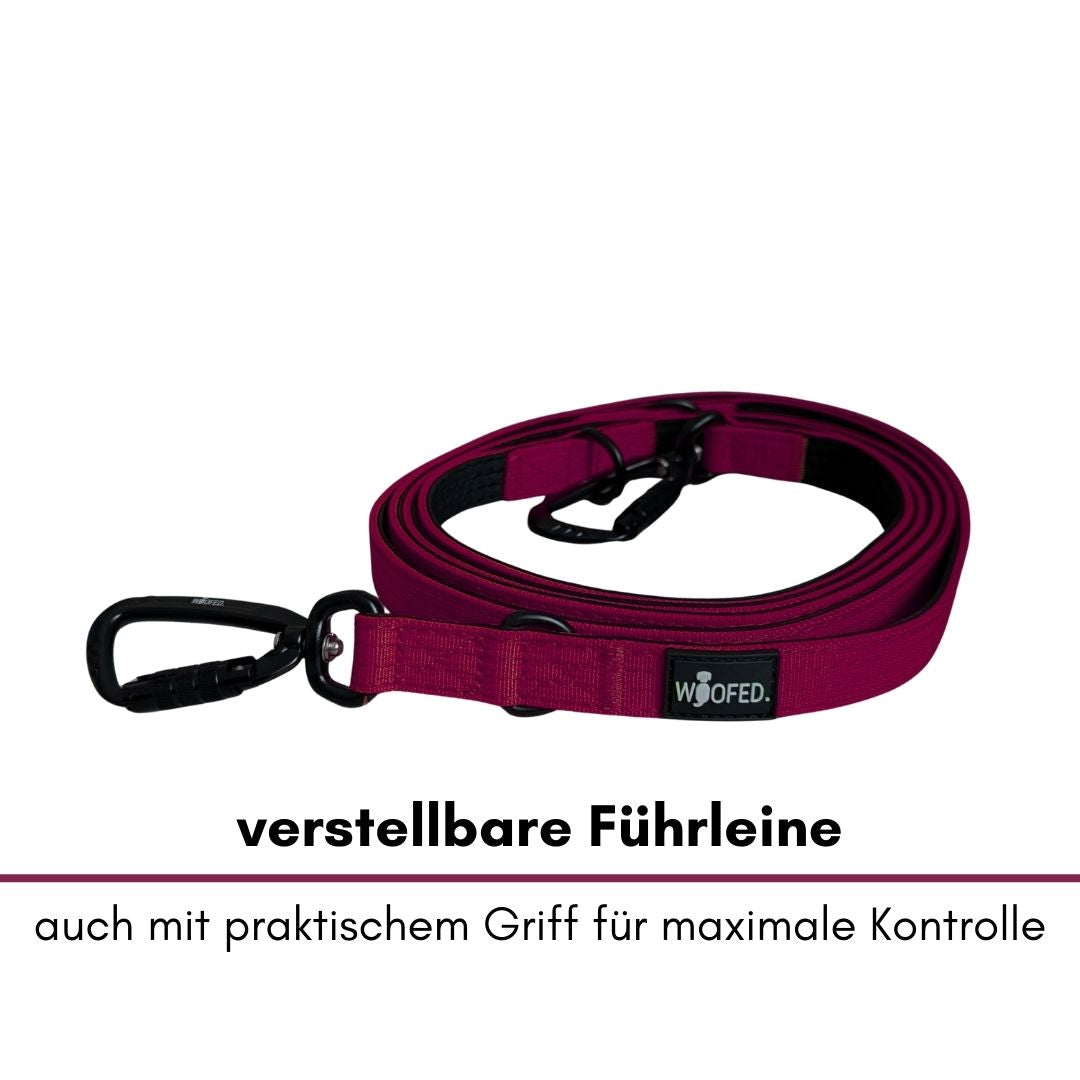 Nylon Pro Führleine Bordeaux