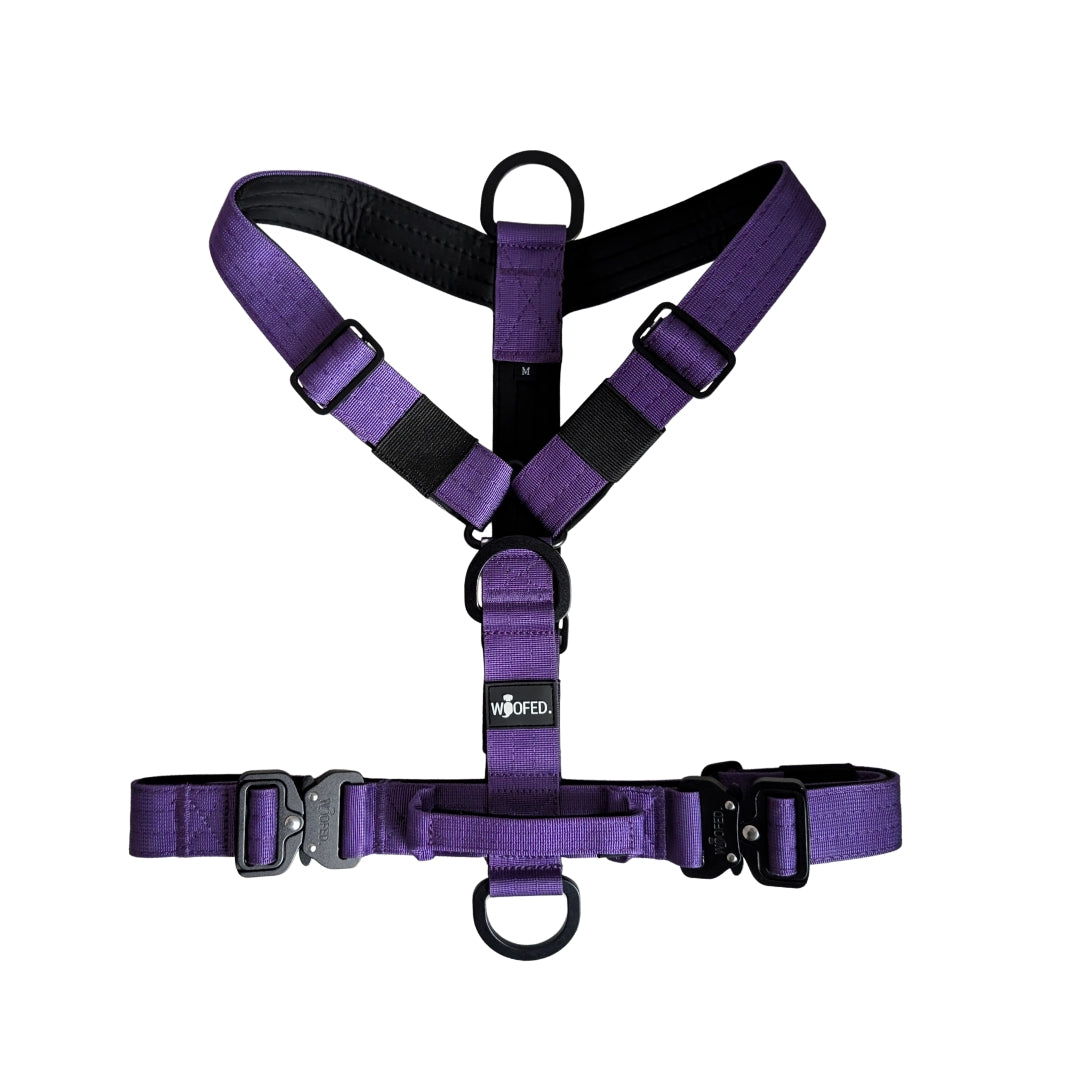 Y-Hundegeschirr 4fach-verstellbar mit Griff und Sicherheitsschnallen Velvet Purple - ultraleicht
