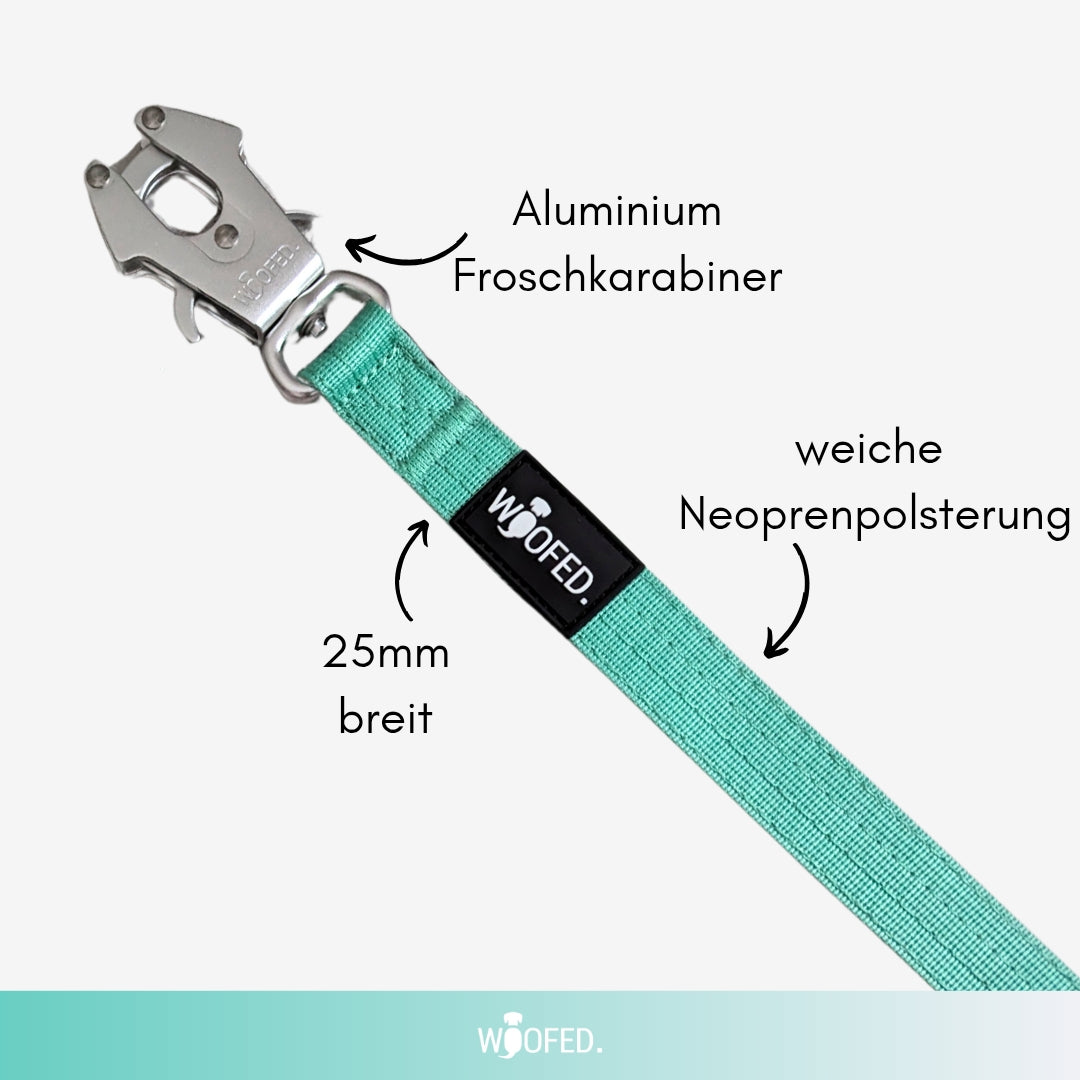 taktische Nylon Führleine Seafoam