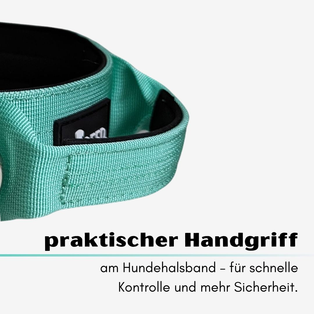 taktisches Nylon Halsband Seafoam
