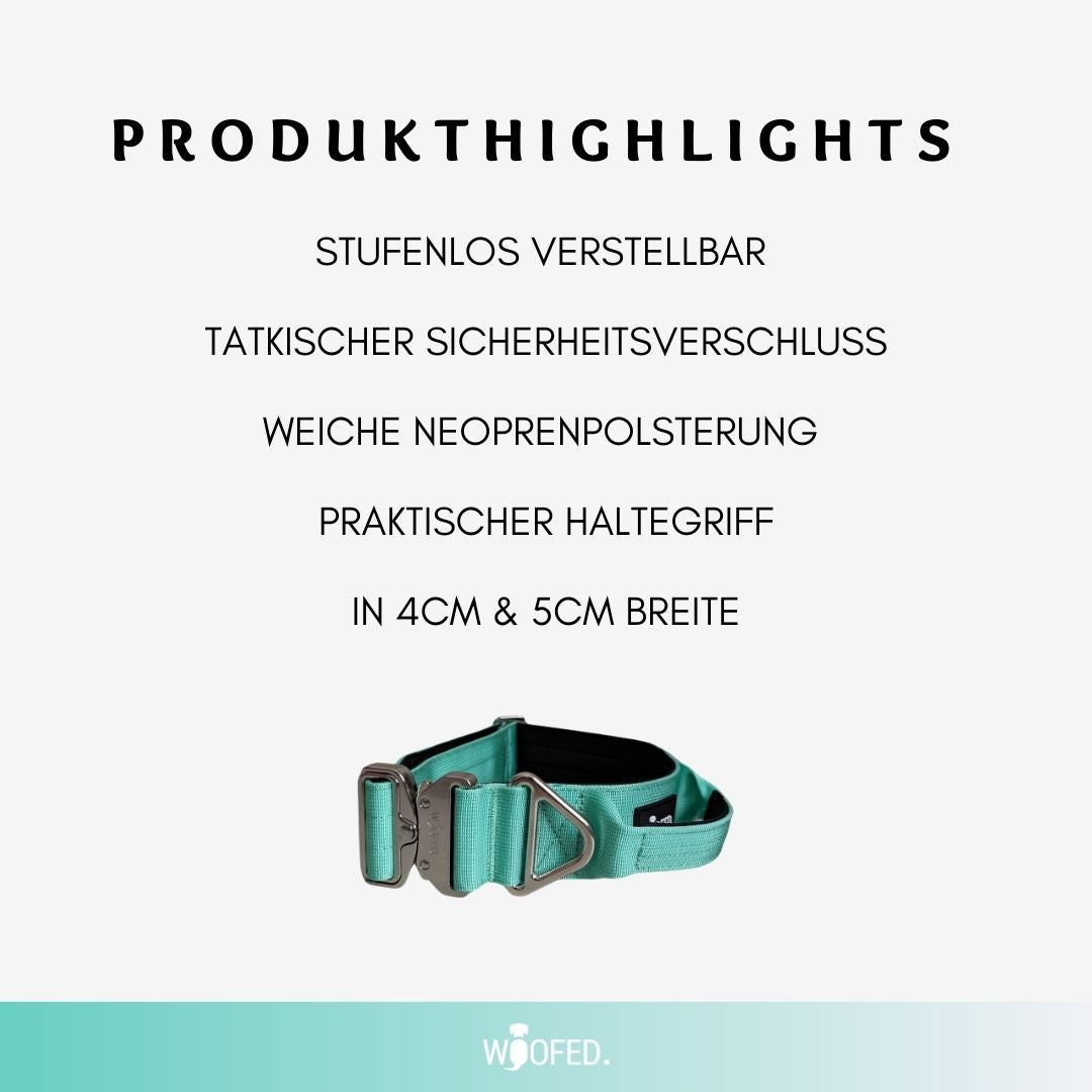 taktisches Nylon Halsband Seafoam