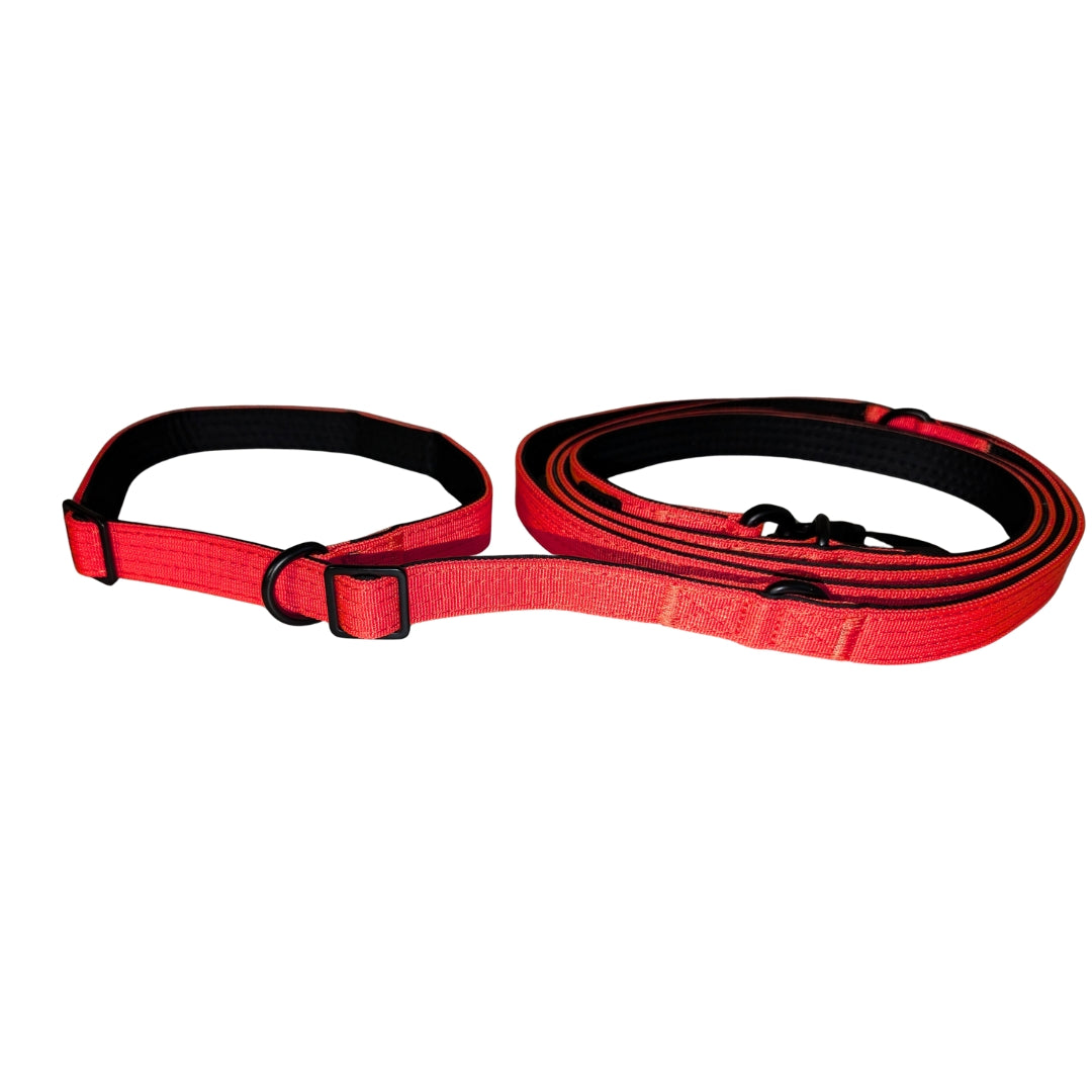 Nylon Retrieverleine verstellbar Rosso Red