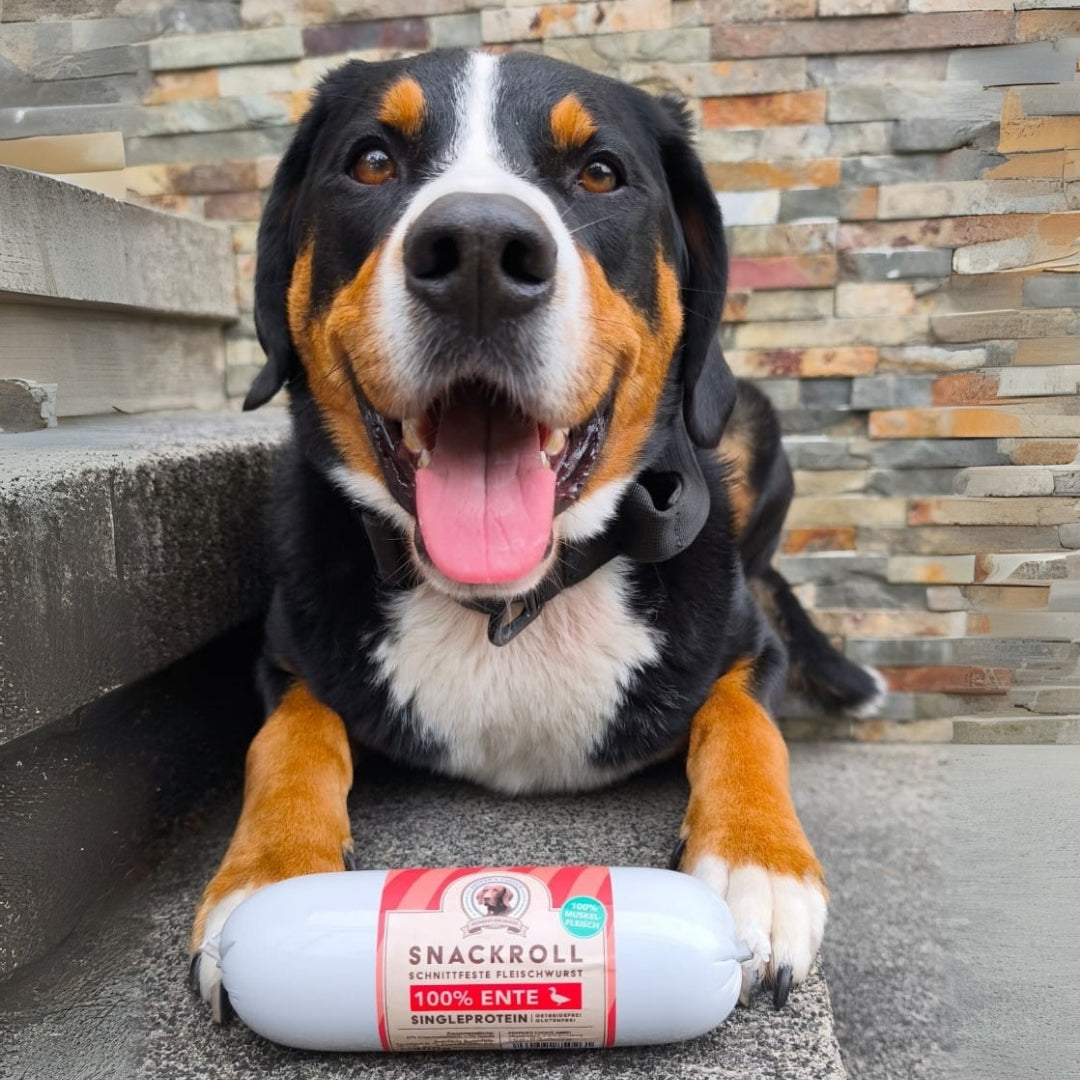 Hundewurst Ente