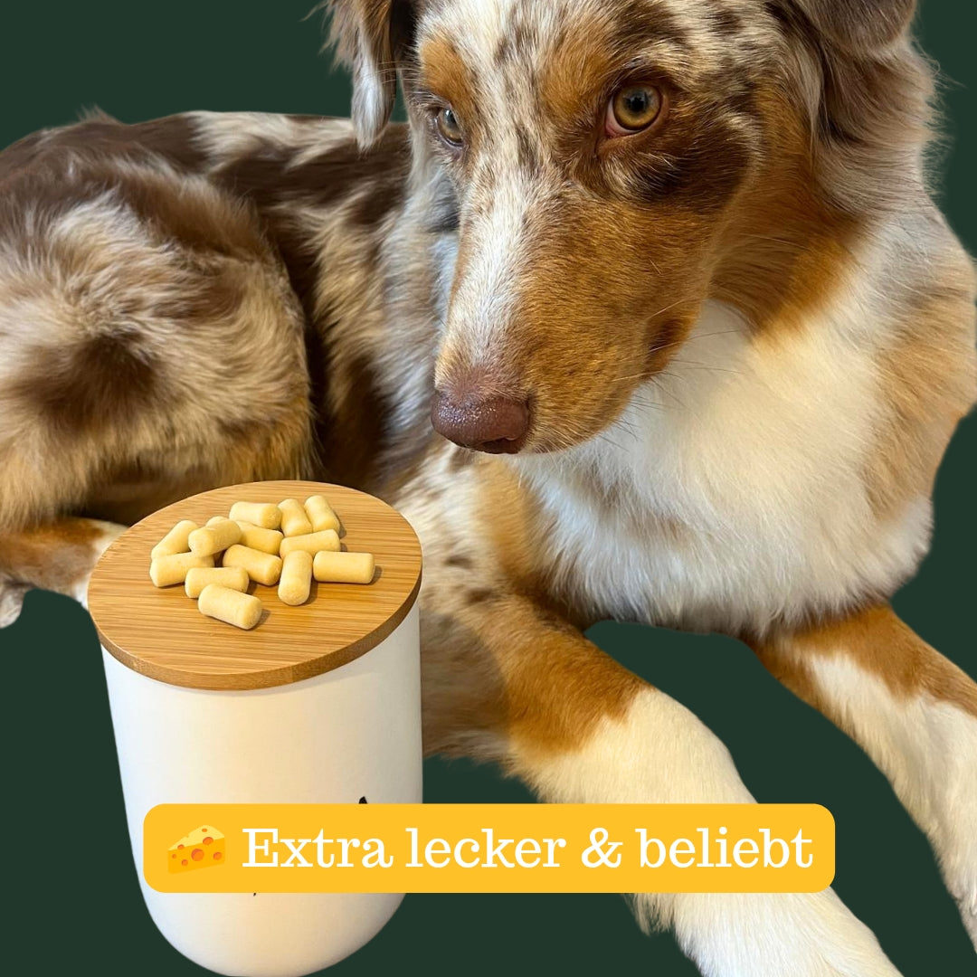 Käseliebhaber Bundle 4er