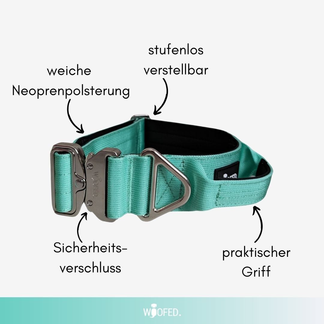 taktisches Nylon Halsband Seafoam