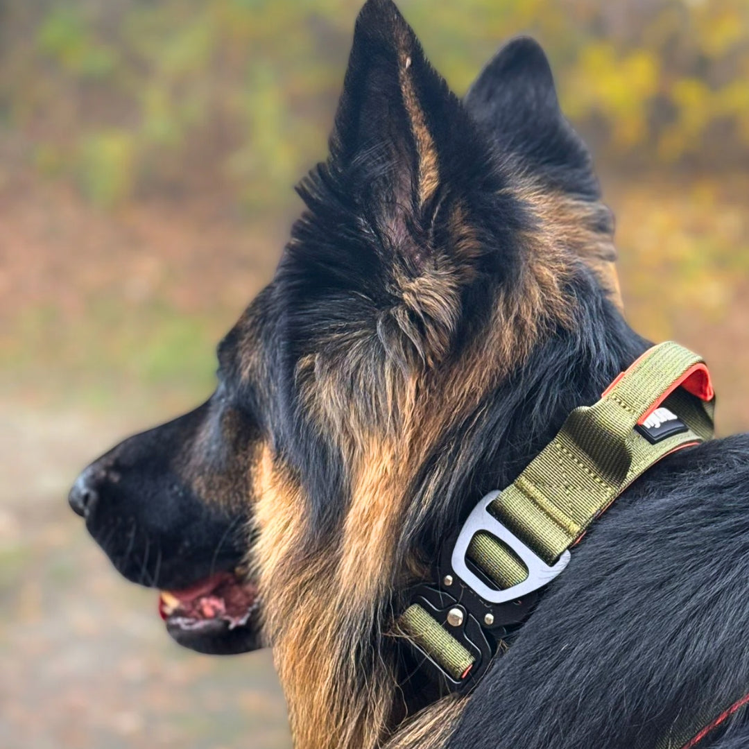 taktisches Nylon Halsband Hunter Glow - ultraleicht