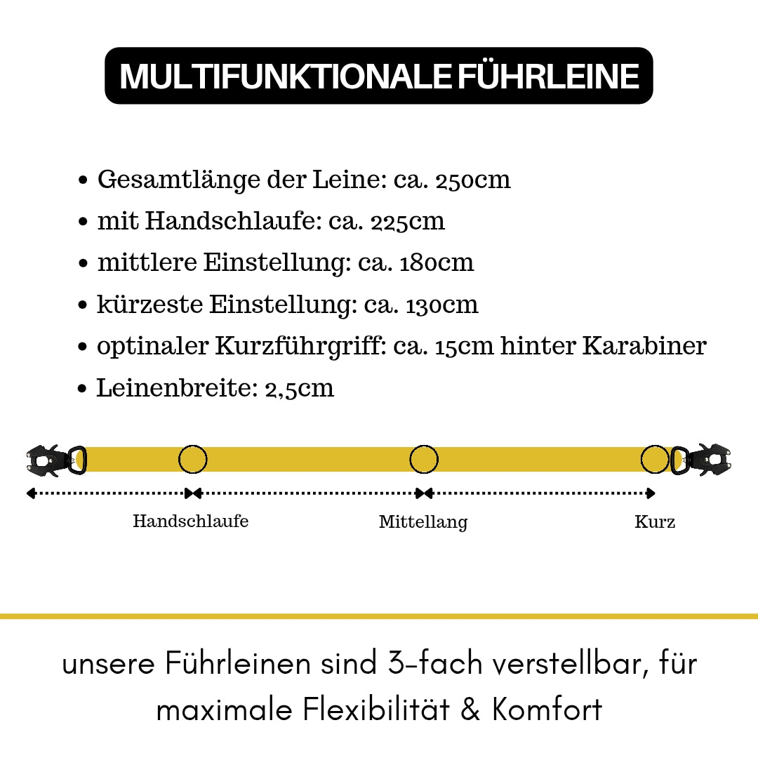 Nylon Halsband-Leine-Set Sunset Yellow ultraleicht