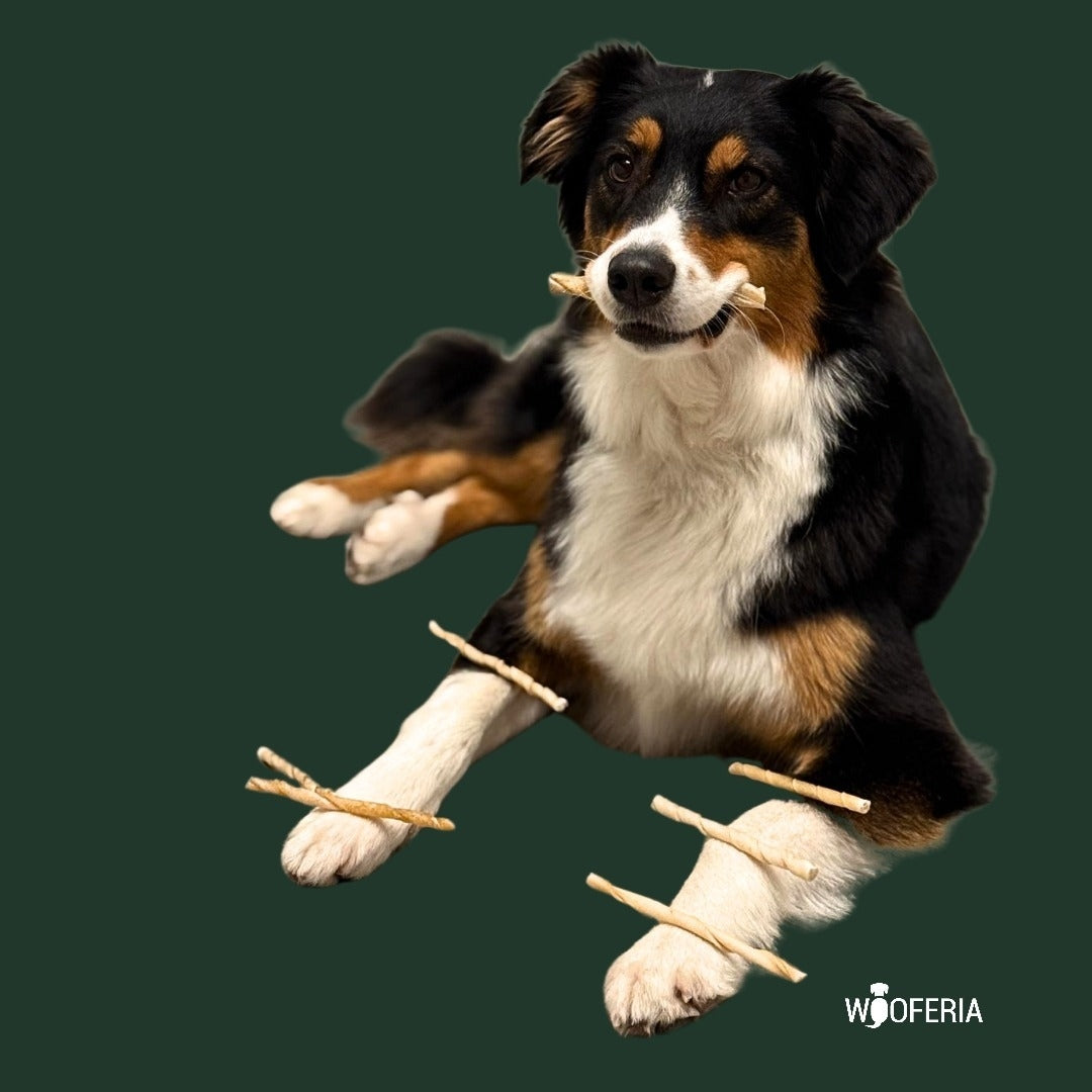 Büffelhaut Kaurollen