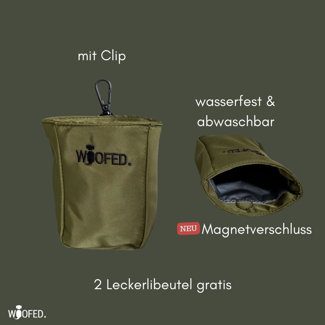 Multifunktionale Gassitasche - 2 in 1 Bauchtasche & Schultertasche Olive