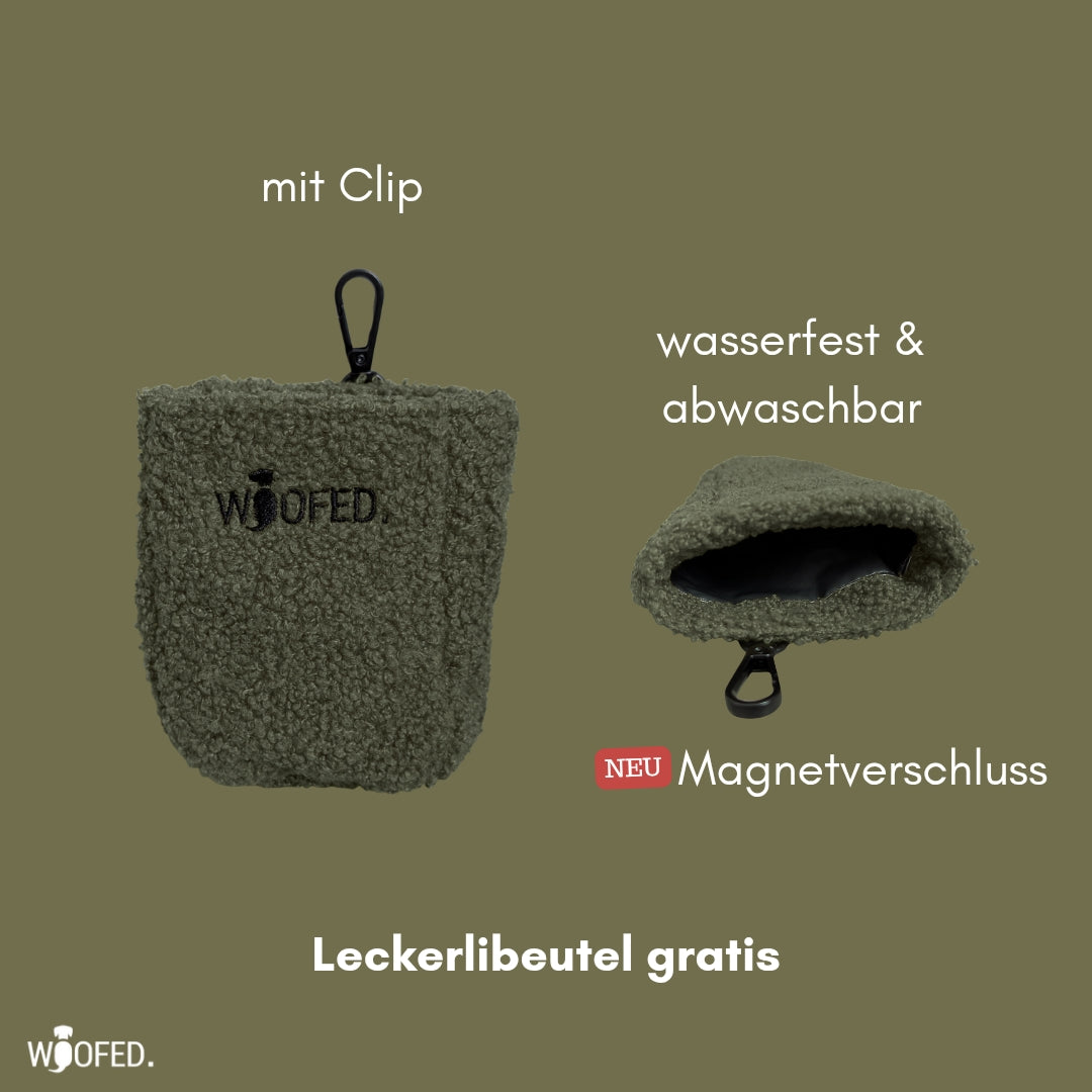 Multifunktionale Teddy Gassitasche - 2 in 1 Bauchtasche & Schultertasche Olive