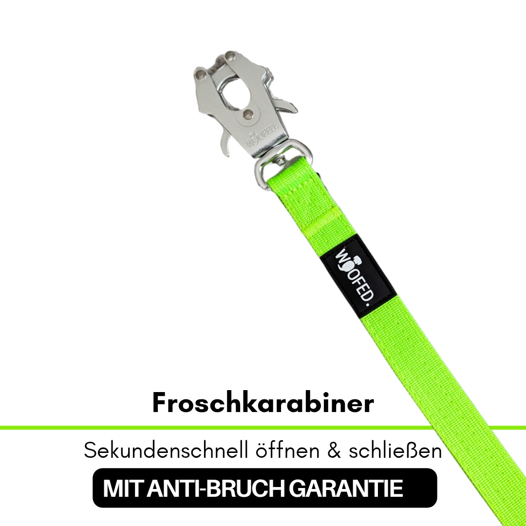 taktische Nylon Führleine Apple Green