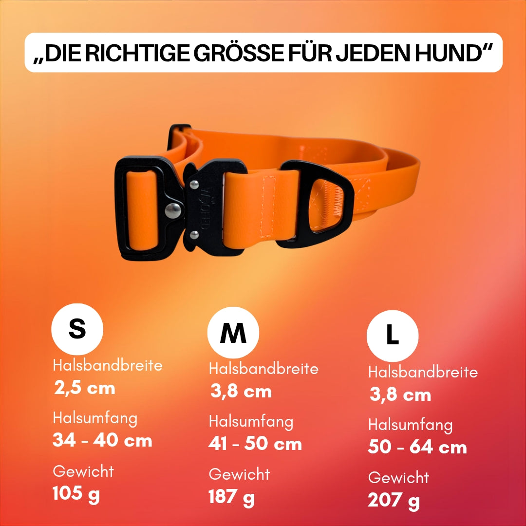 Orange verstellbares Hundehalsband mit schwarzem Schnappverschluss und D‑Ring, seitlich auf orangefarbenem Hintergrund