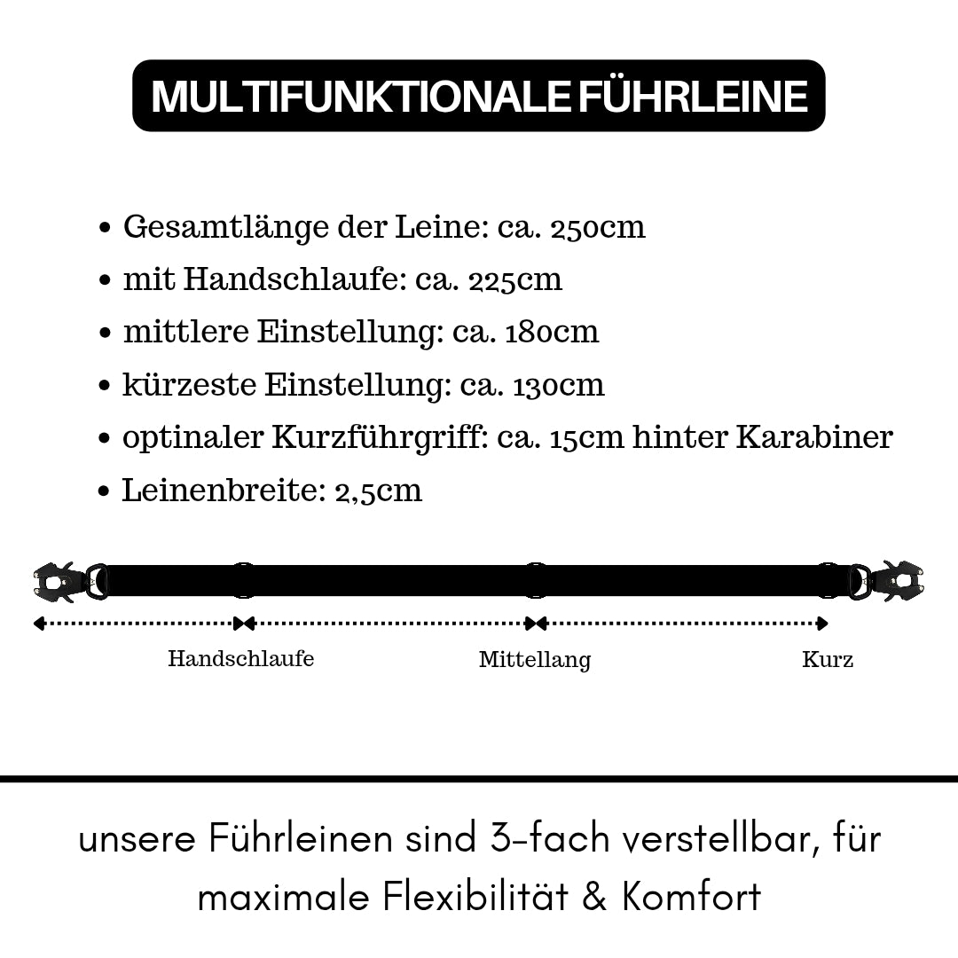 taktische Nylon Führleine Black Gold