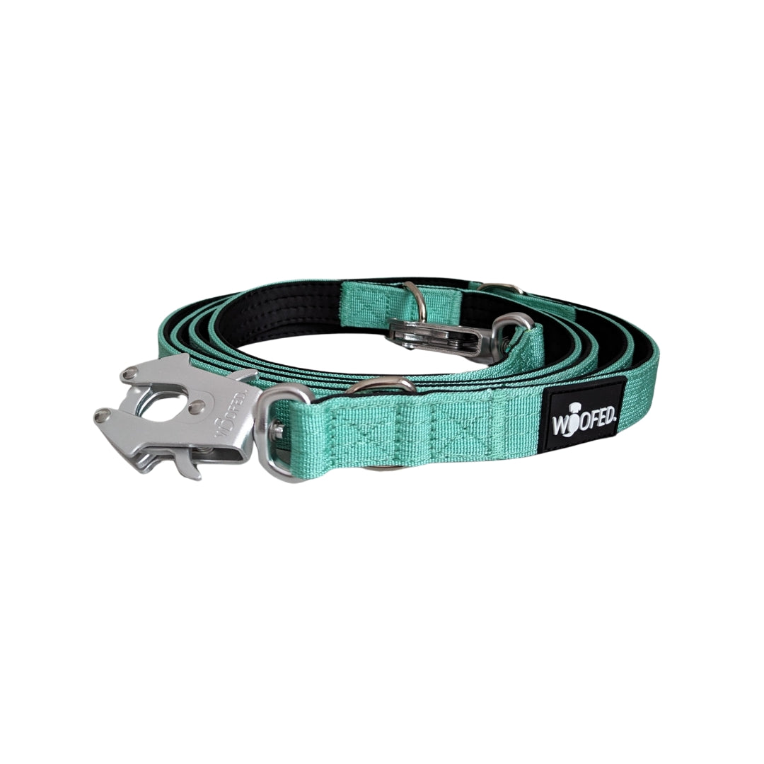 taktische Nylon Führleine Seafoam