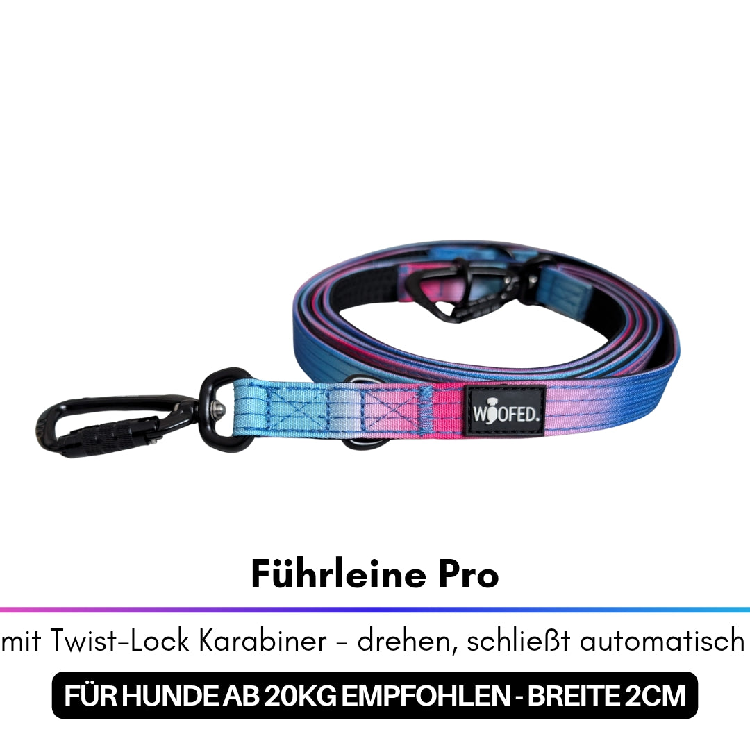 Aufgerollte Führleine im Blau‑Pink‑Verlauf mit schwarzem Twist‑Lock‑Karabiner und WOOFED‑Logo, schräge Frontansicht