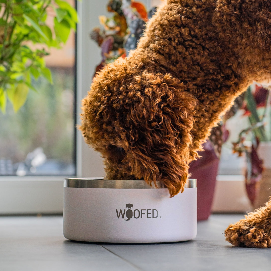 Premium stainless steel bowl Pure White