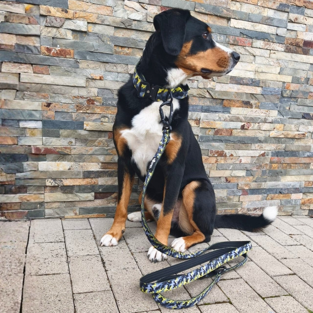 taktisches Nylon Halsband Yellow Camo ultraleicht