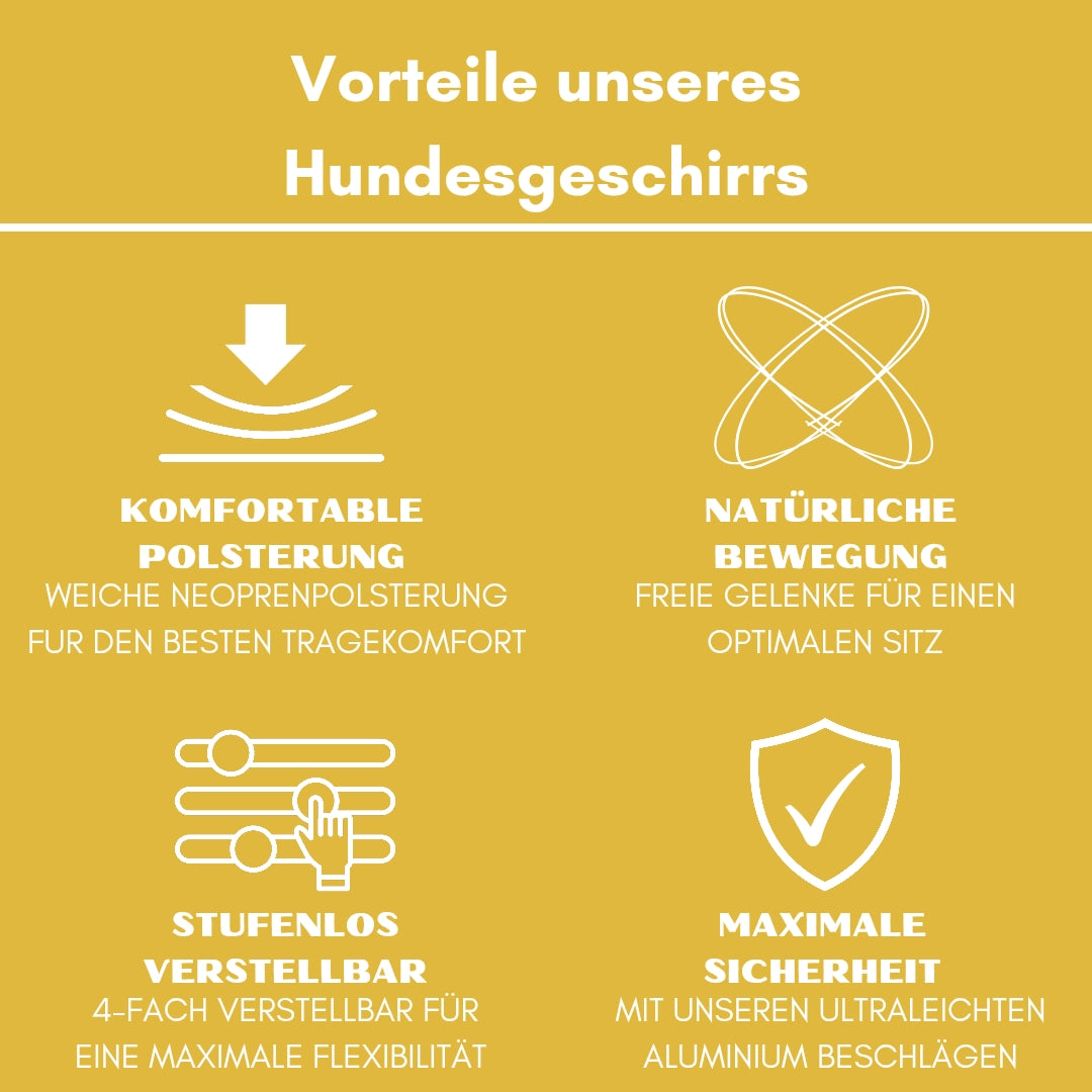Y-Hundegeschirr 4fach-verstellbar mit Griff und Sicherheitsschnallen Sunset Yellow - ultraleicht