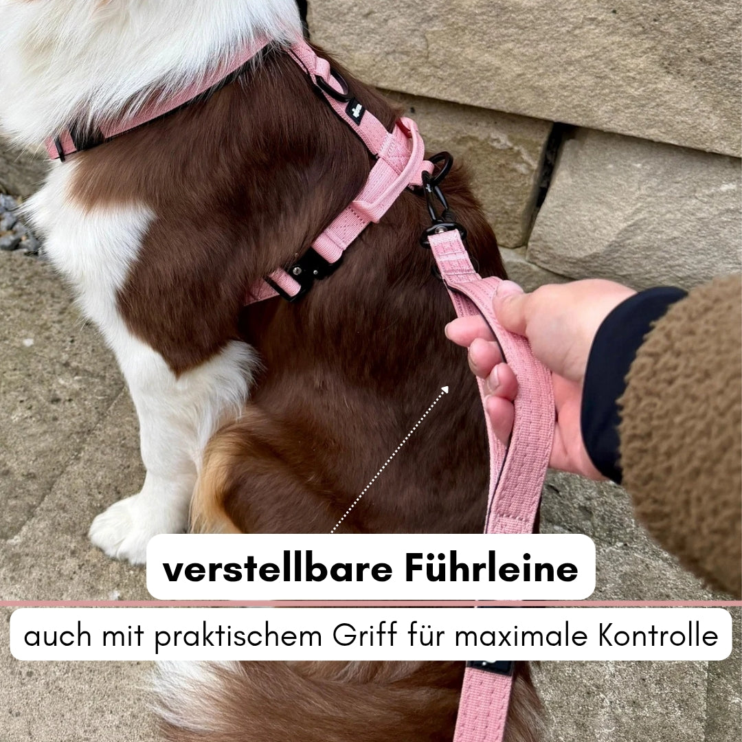 Nylon Pro Führleine Dusty Rose
